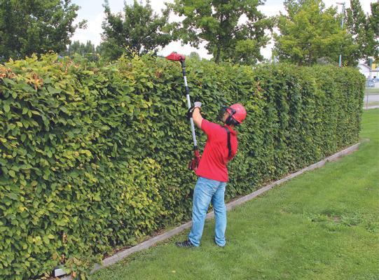 Podadora Y Cortadora De Altura Inalambrica Ge-Hc 18 Li T Solo Podadora Y Cortadora De Altura Inalambrica Ge-Hc 18 Li T Solo