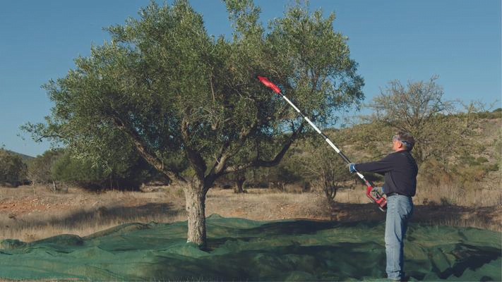 Cosechadora de Olivos Inalámbrica GE-FS 18/53 Li-Solo Cosechadora de Olivos Inalámbrica GE-FS 18/53 Li-Solo