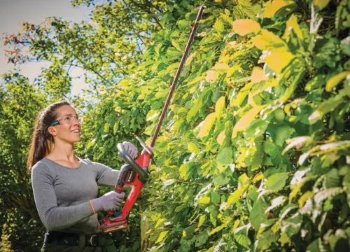 Corta Cercos a batería GP-CH 18/61 Li BL-Solo Corta Cercos a batería GP-CH 18/61 Li BL-Solo