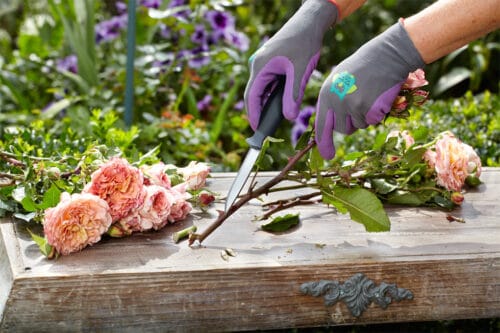 Cuchillo para Jardín y Exteriores - 220mm